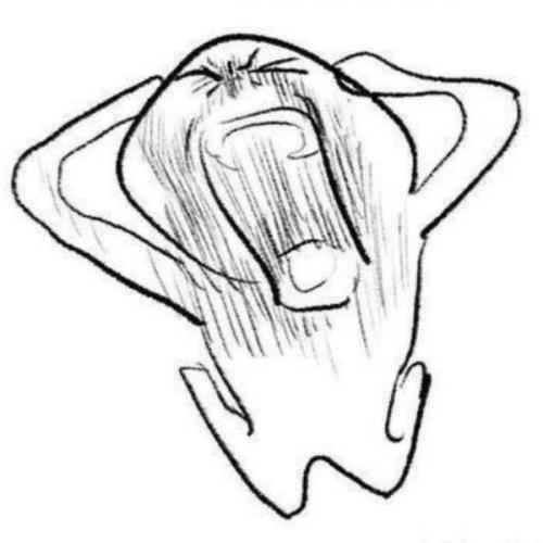 สมาชิกหมายเลข 7268270