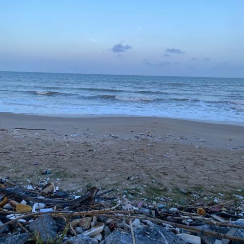 สมาชิกหมายเลข 8599187