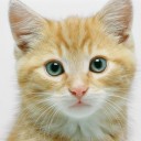 สมาชิกหมายเลข 4067717