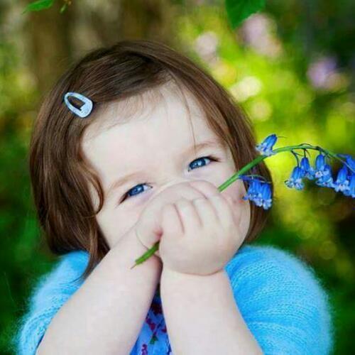 สมาชิกหมายเลข 4850567