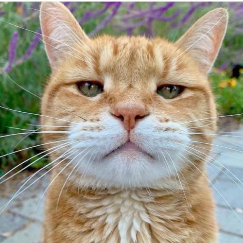 สมาชิกหมายเลข 4496976