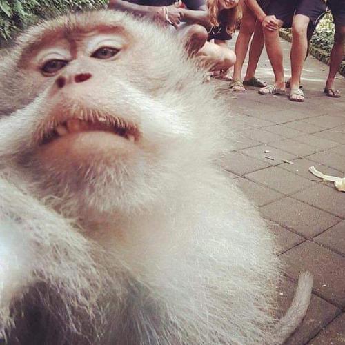 สมาชิกหมายเลข 5134295