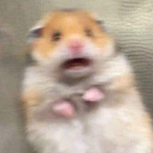 สมาชิกหมายเลข 5152164