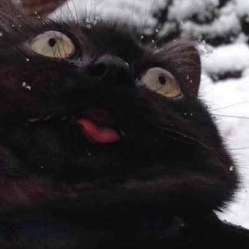 สมาชิกหมายเลข 5661299