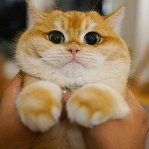 สมาชิกหมายเลข 5667700