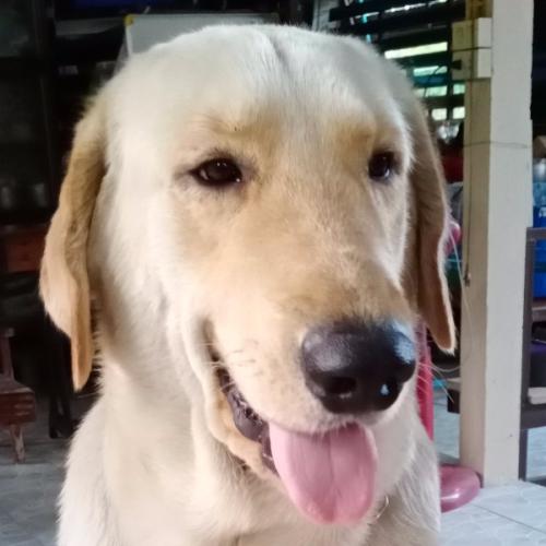 สมาชิกหมายเลข 5667865