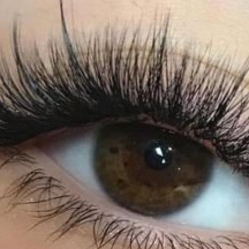 สมาชิกหมายเลข 6090792