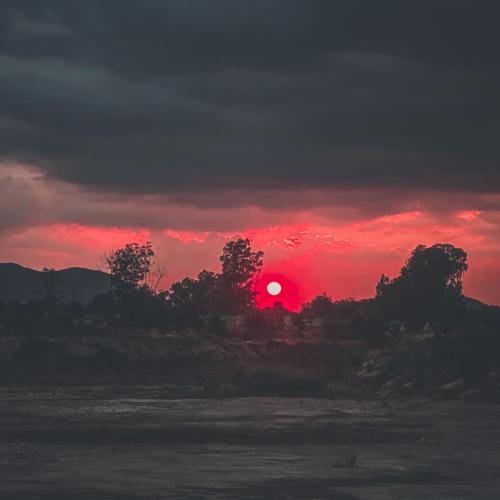 สมาชิกหมายเลข 6181266