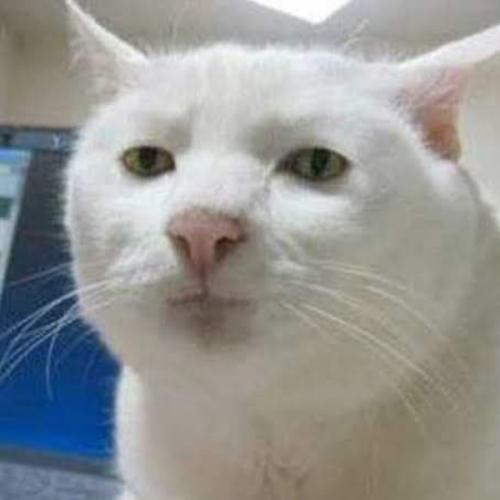 สมาชิกหมายเลข 6244648