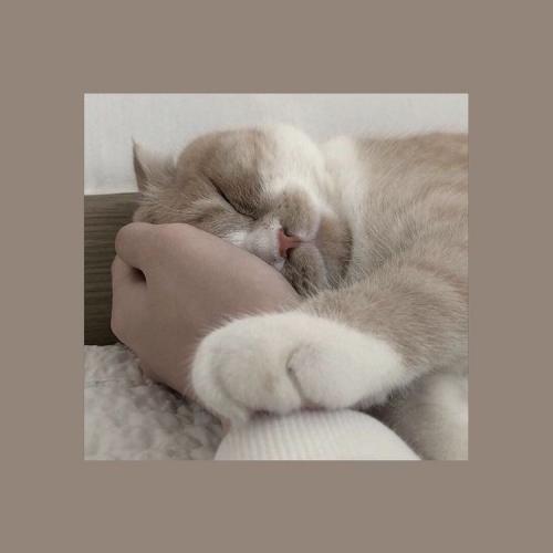 สมาชิกหมายเลข 6244747