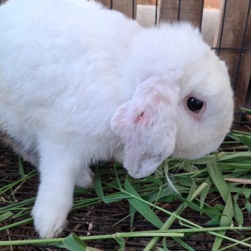 สมาชิกหมายเลข 8312695