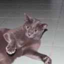 สมาชิกหมายเลข 3952350