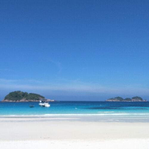 สมาชิกหมายเลข 4514281