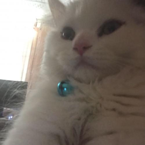 สมาชิกหมายเลข 1568569