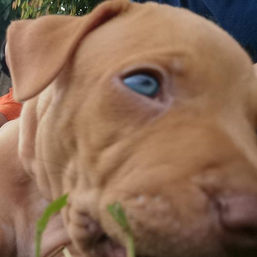 สมาชิกหมายเลข 5659763