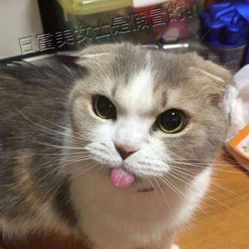 สมาชิกหมายเลข 5696058