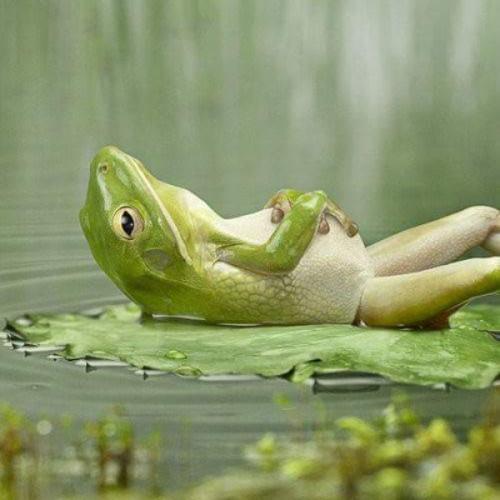 สมาชิกหมายเลข 5554909