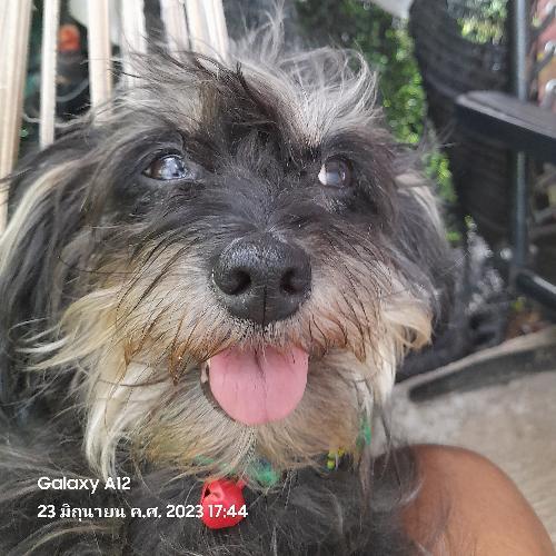 สมาชิกหมายเลข 7662354