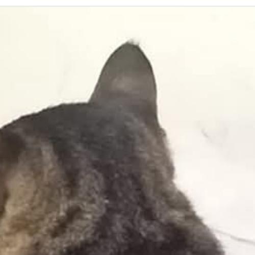 สมาชิกหมายเลข 5713312