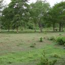 สมาชิกหมายเลข 4011871