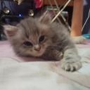 สมาชิกหมายเลข 4067023