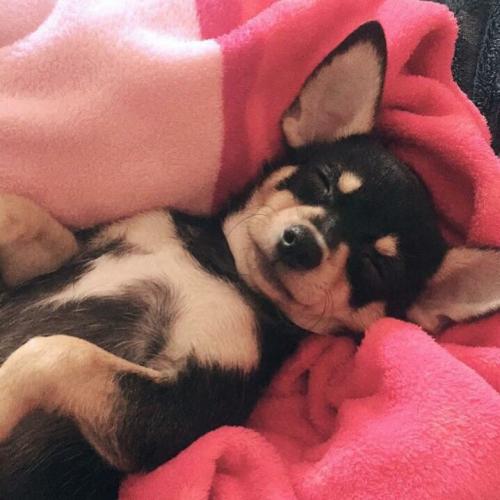 สมาชิกหมายเลข 4068464