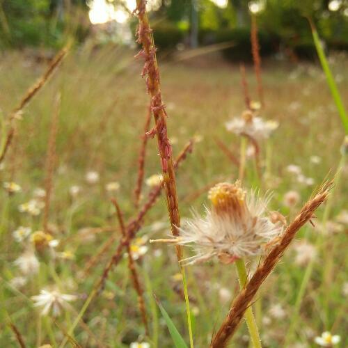 สมาชิกหมายเลข 4510661