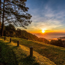 สมาชิกหมายเลข 4851271