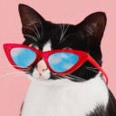 สมาชิกหมายเลข 3039554