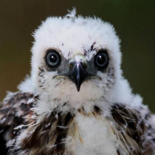 สมาชิกหมายเลข 3392383