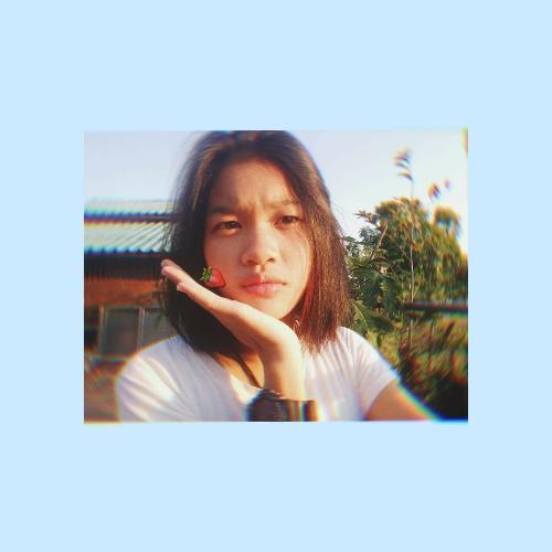 สมาชิกหมายเลข 5240080