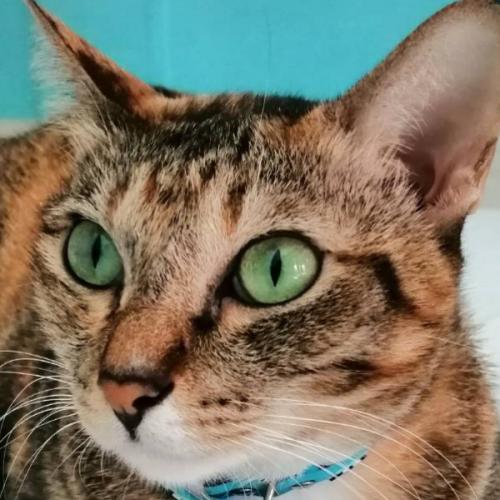 สมาชิกหมายเลข 921628