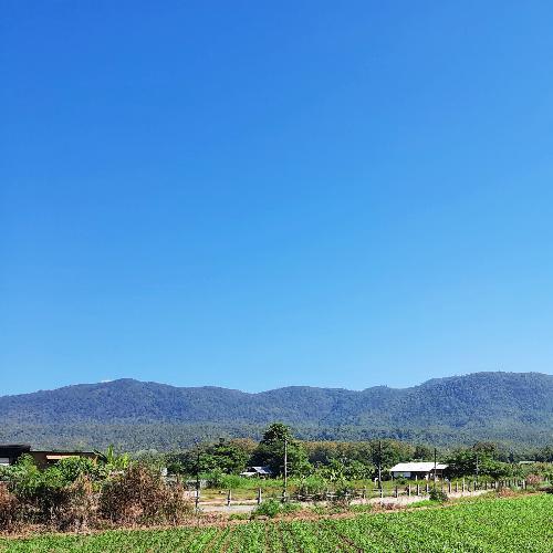 สมาชิกหมายเลข 1964259