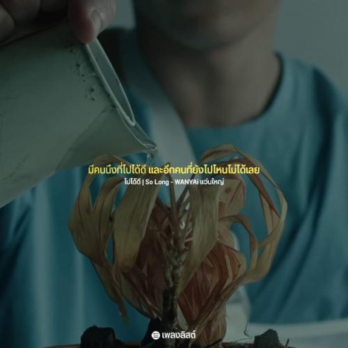 สมาชิกหมายเลข 6900650