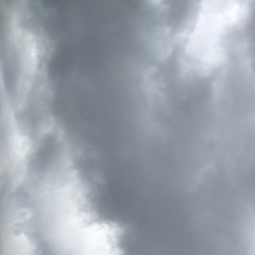 สมาชิกหมายเลข 2442936