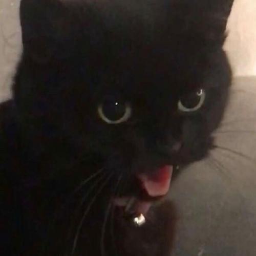 สมาชิกหมายเลข 7663415