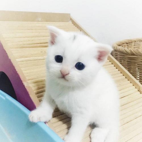 สมาชิกหมายเลข 3434803