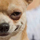 สมาชิกหมายเลข 5240458