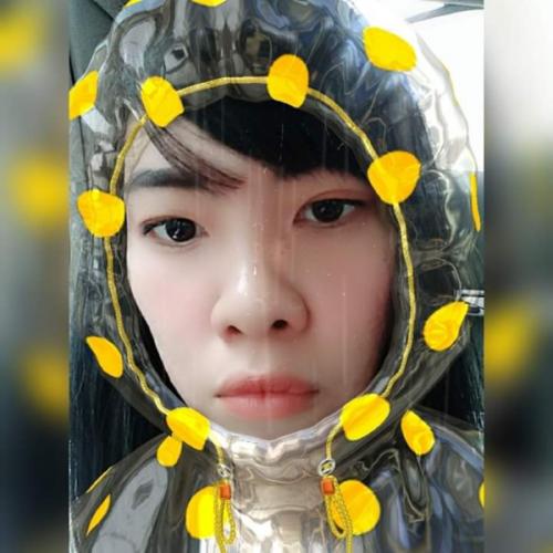 สมาชิกหมายเลข 4251993