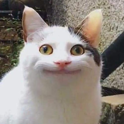 สมาชิกหมายเลข 5668740