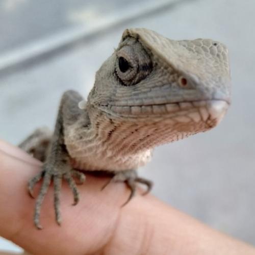 สมาชิกหมายเลข 5860964