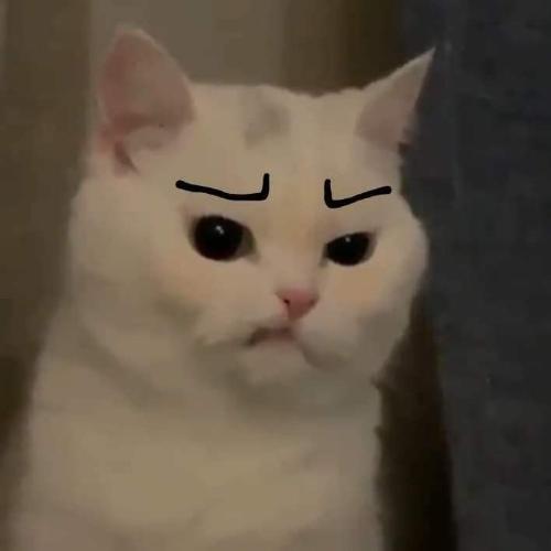 สมาชิกหมายเลข 6423274