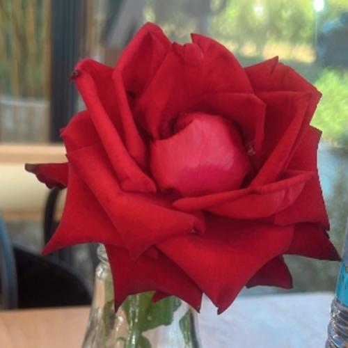 สมาชิกหมายเลข 6900851