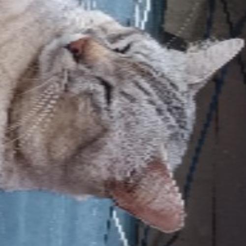 สมาชิกหมายเลข 7968751