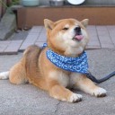 สมาชิกหมายเลข 4069605