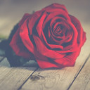 สมาชิกหมายเลข 4852091