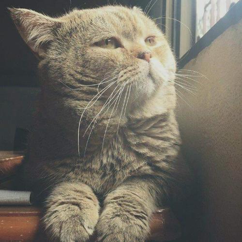 สมาชิกหมายเลข 5240997