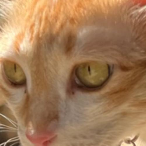 สมาชิกหมายเลข 4325678