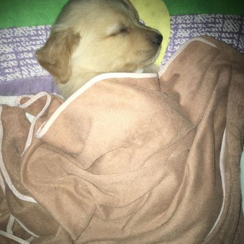 สมาชิกหมายเลข 4699670