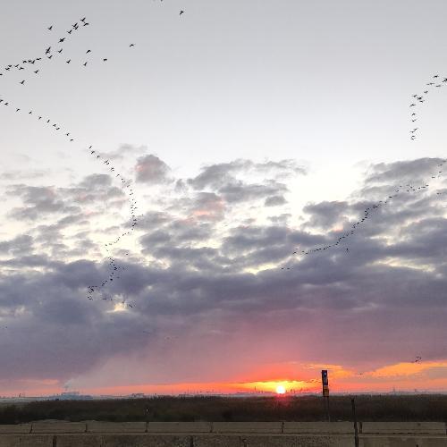 สมาชิกหมายเลข 6845223